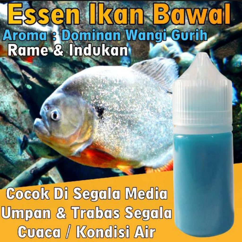 Essen Ikan Bawal Paling Gacor, Essen Ikan Bawal Galatama, Essen Ikan Bawal Harian, Essen Ika Bawal I
