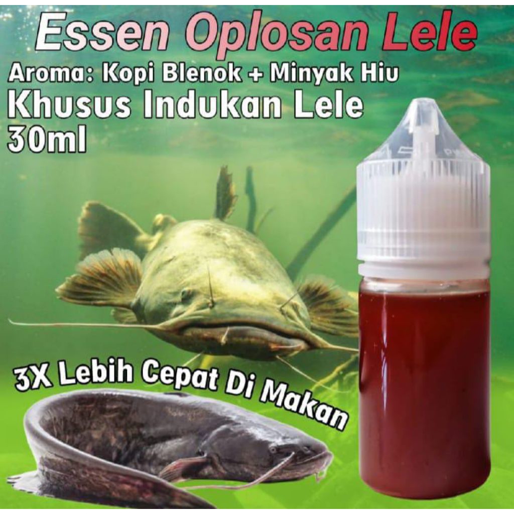 Essen Ikan Lele Galatama, Essen Ikan Lele Paling Jitu, Essen Ikan Lele Rilisan, Essen Ikan Lele Indu