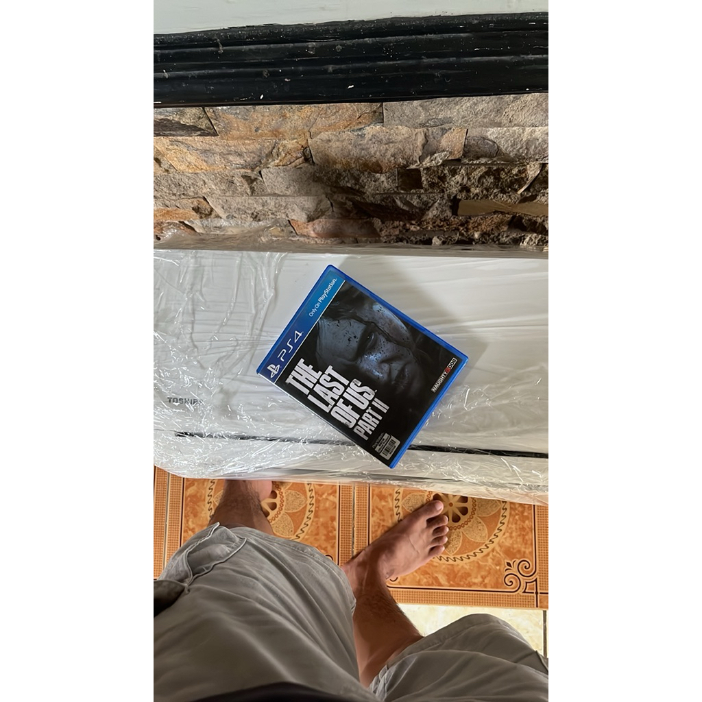 bd the last of us part2