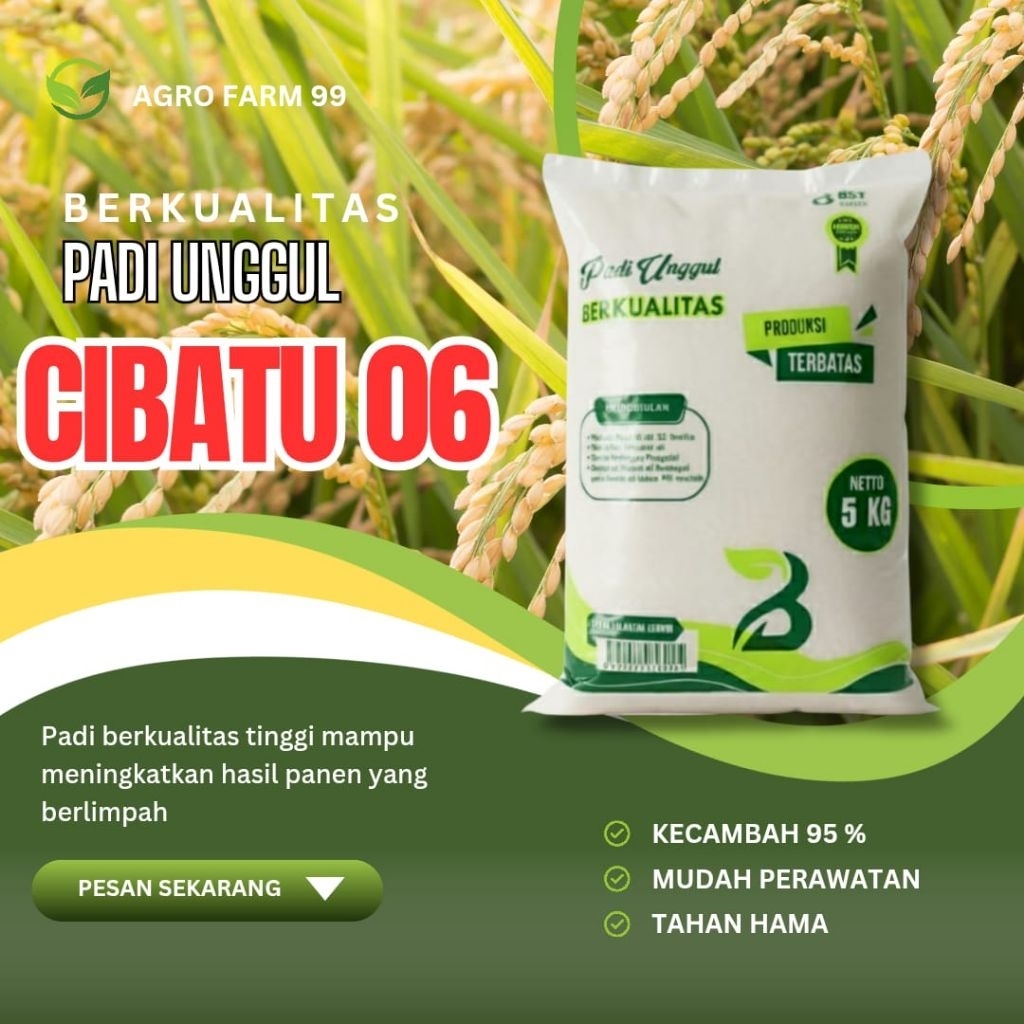 benih padi CIBATU 06