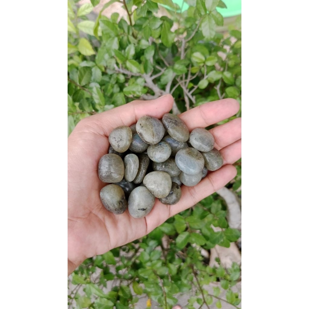 Bahan Batu Akik Labrador