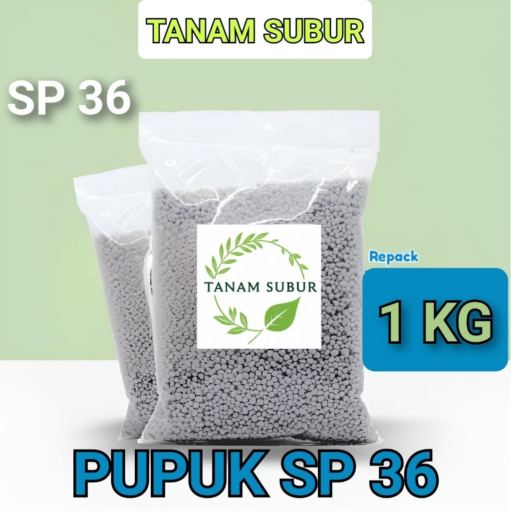 PUPUK TSP / SP 36 1KG | PUPUK SP 36 MURAH | PUPUK SP 36 TS SAPRODAP | PUPUK SP 36 | PUPUK MURAH | PU