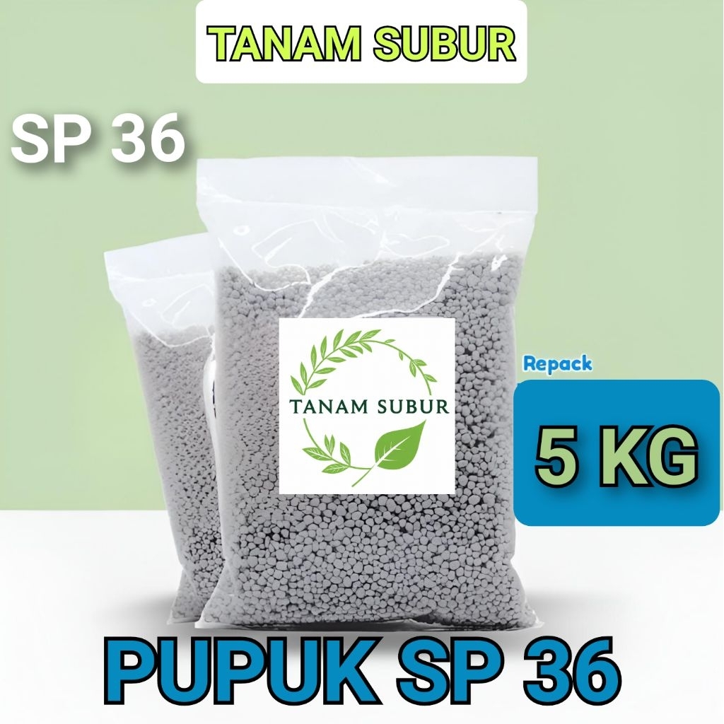 PUPUK SP 36 5KG | PUPUK SP 36 MURAH | PUPUK SP 36 TS SAPRODAP | PUPUK SP 36 | PUPUK ORGANIK