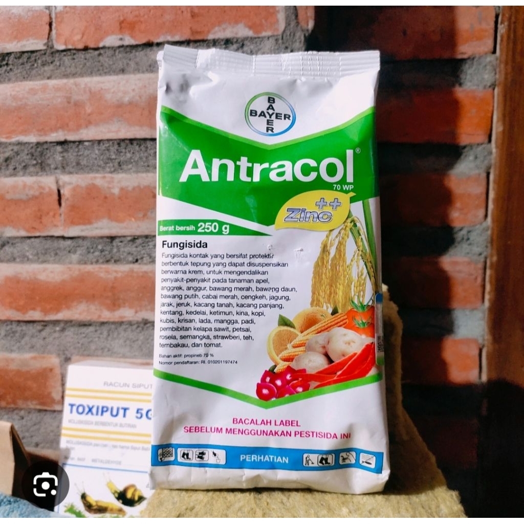Antracol Fungisida 250G Obat jamur