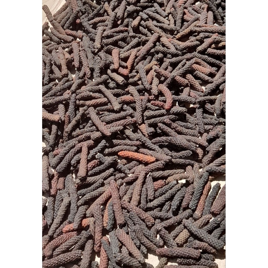 Cabe Jawa Kering/cabe Jamu Kering