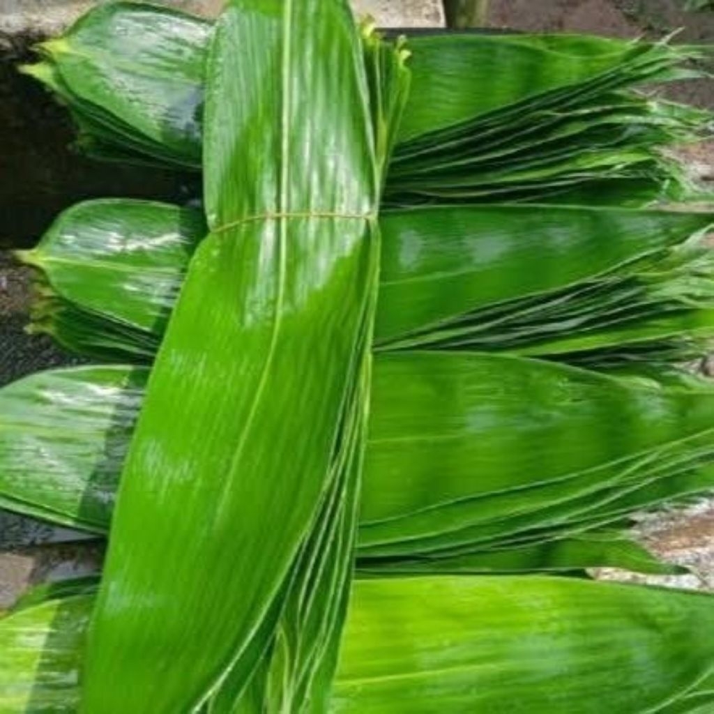 daun bambu untuk bungkus bacang 50 lembar