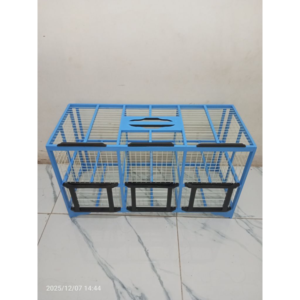 dongdang merpati 6 pintu 3 pasang
