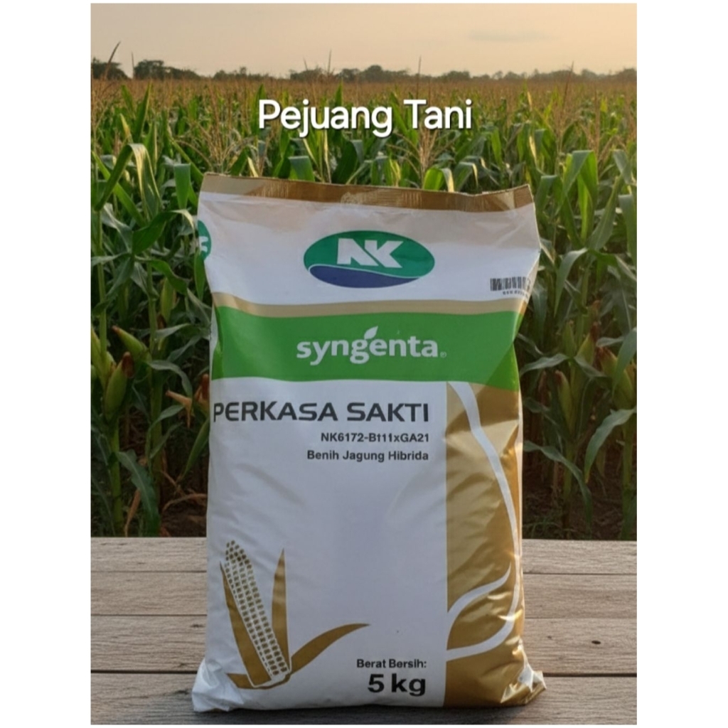 Benih NK PERKASA SAKTI  5kg - Sygenta (Asli)