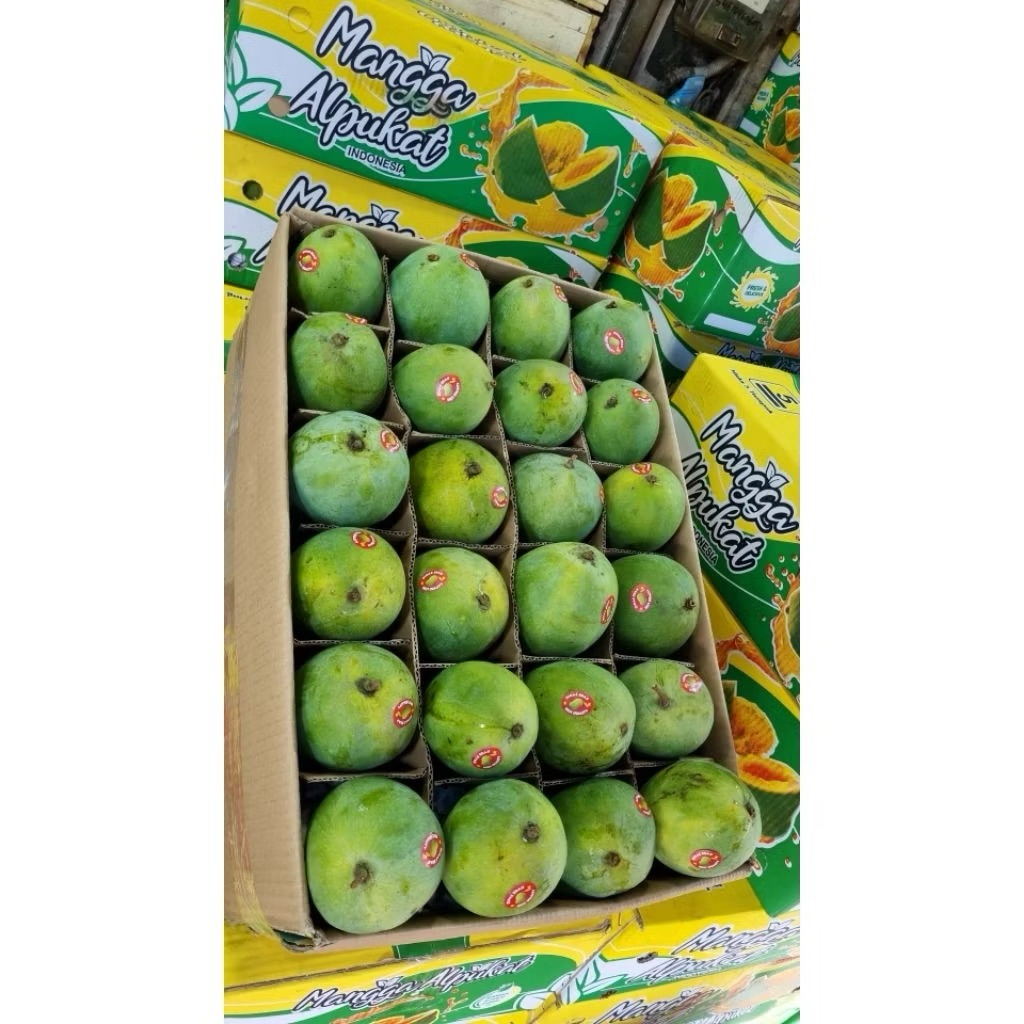 MANGGA ALPUKAT 1 DUS 5KG