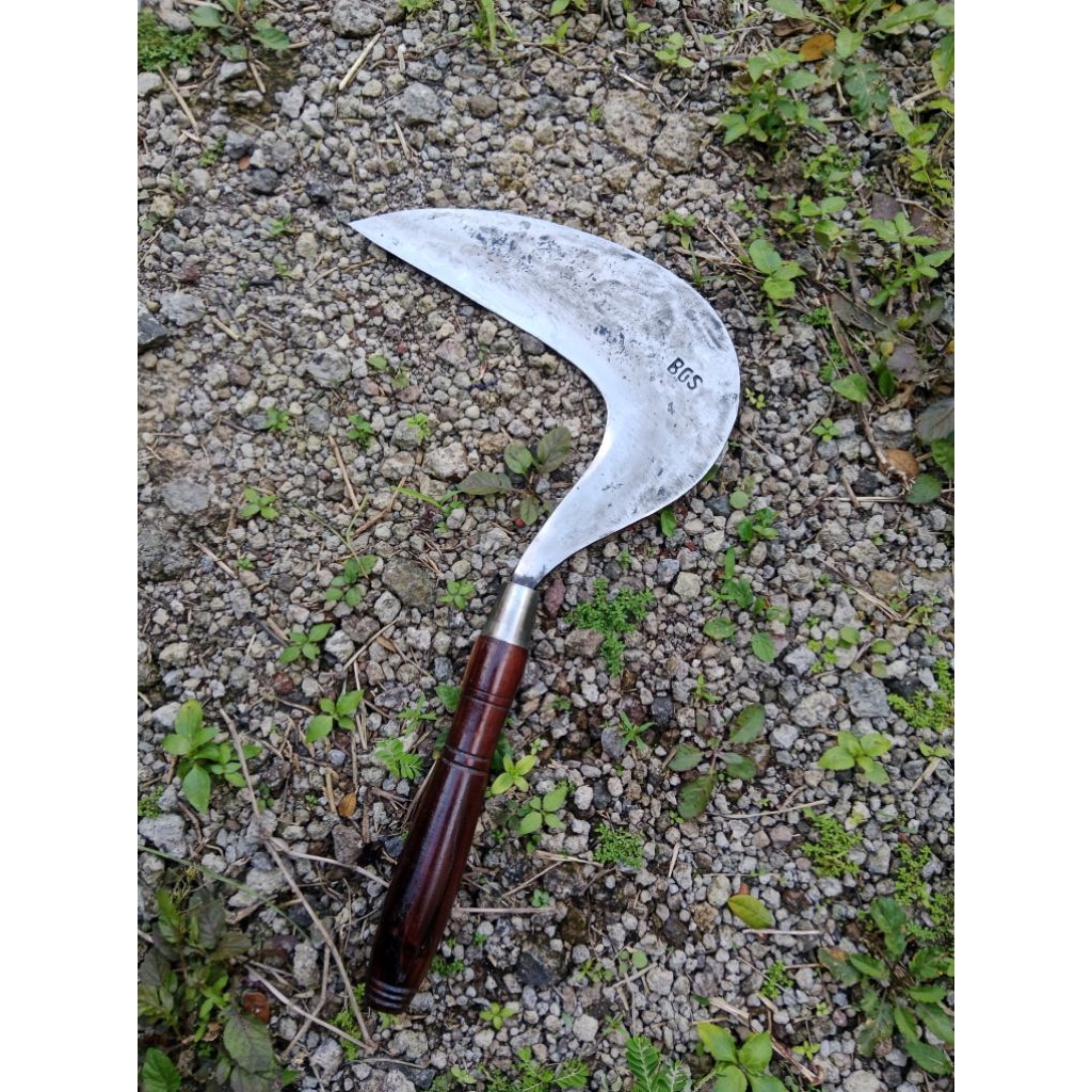 Arit Cap BGS Baja Per Asli | Sabit Rumput Padi Alat Pertanian Premium | SUPER TAJAM SIAP PAKAI