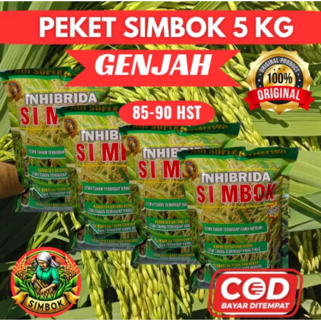 (5KG) BENIH PADI IN HIBRIDA SIMBOK GENJAH UMUR PENDEK (85-90 Hst) 100%ORIGINAL