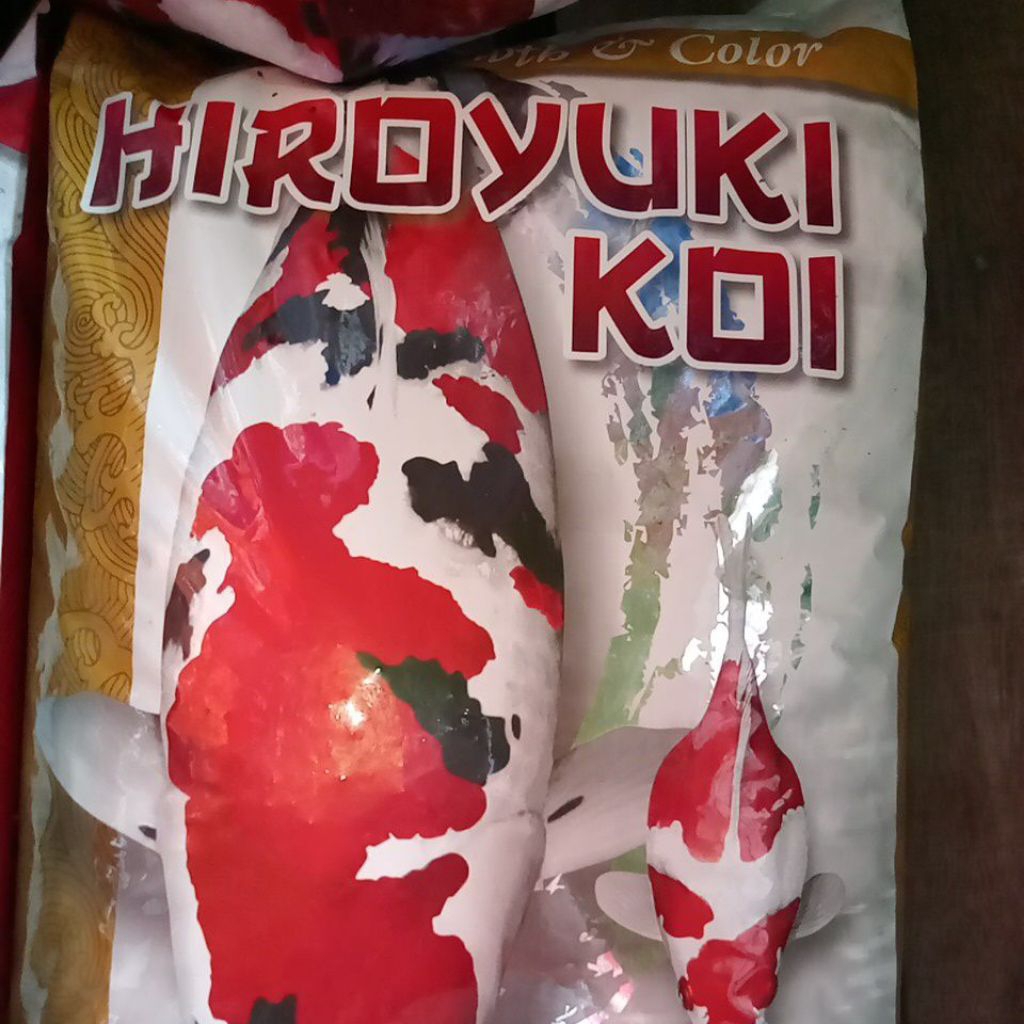 Hiroyuki koi kuning