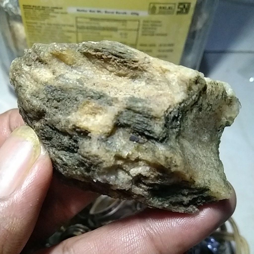 NATURAL BAHAN TUNGGAL BATU MUSTIKA FOSIL KELOR CRYSTAL PUTIH