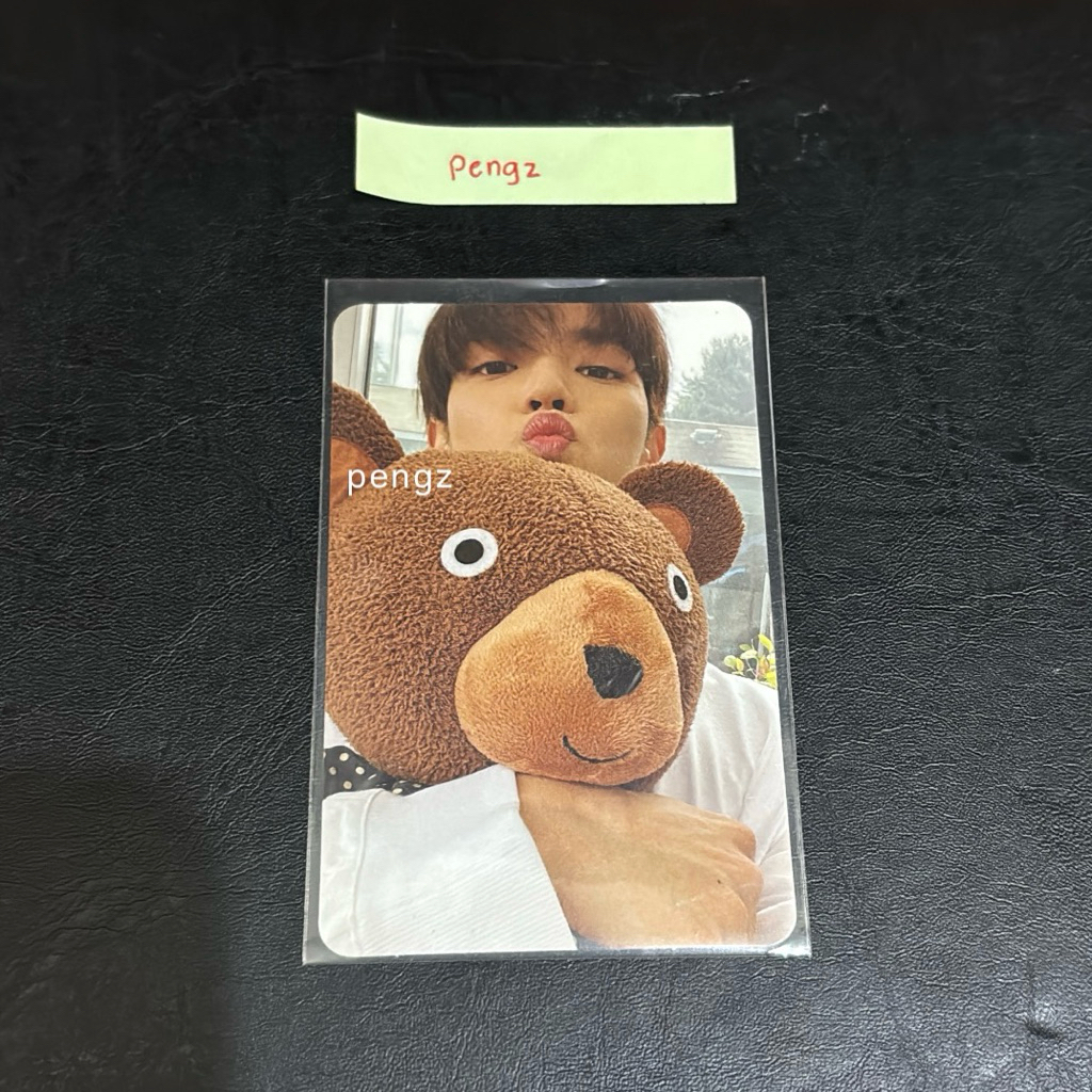 NCT 127 TAEYONG BONEKA OFFICIAL PHOTOCARD ALBUM STICKER PC