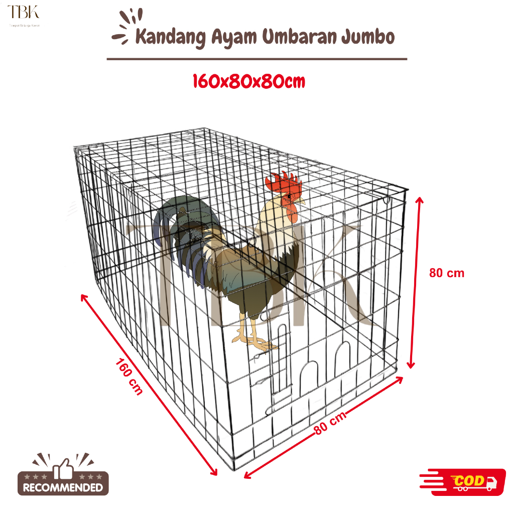 KANDANG AYAM UMBARAN GALVANIS | KANDANG AYAM JAGO | UKURAN 160x80x80 CM | BEST SELLER