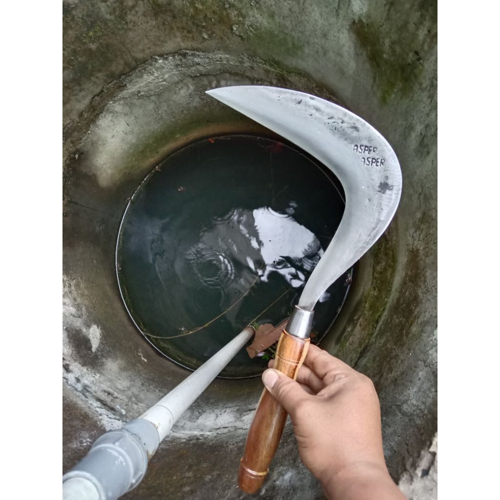 Arit ASPER SURO Baja Premium Super Sabit Tani Rumput Panen Padi Kuat Tajam