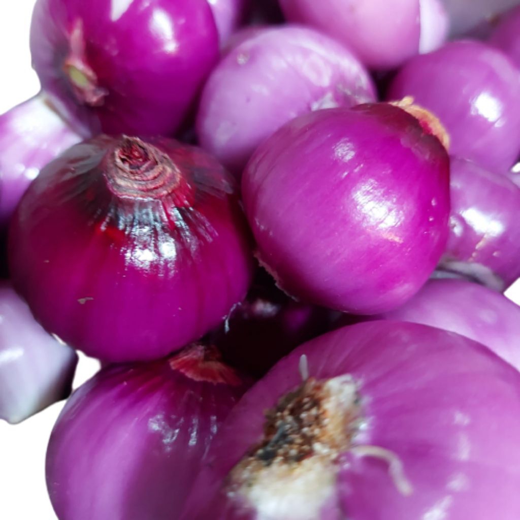 Bawang Berry Kupas / Bawang Merah India Kupas / Bawang Peking Kupas