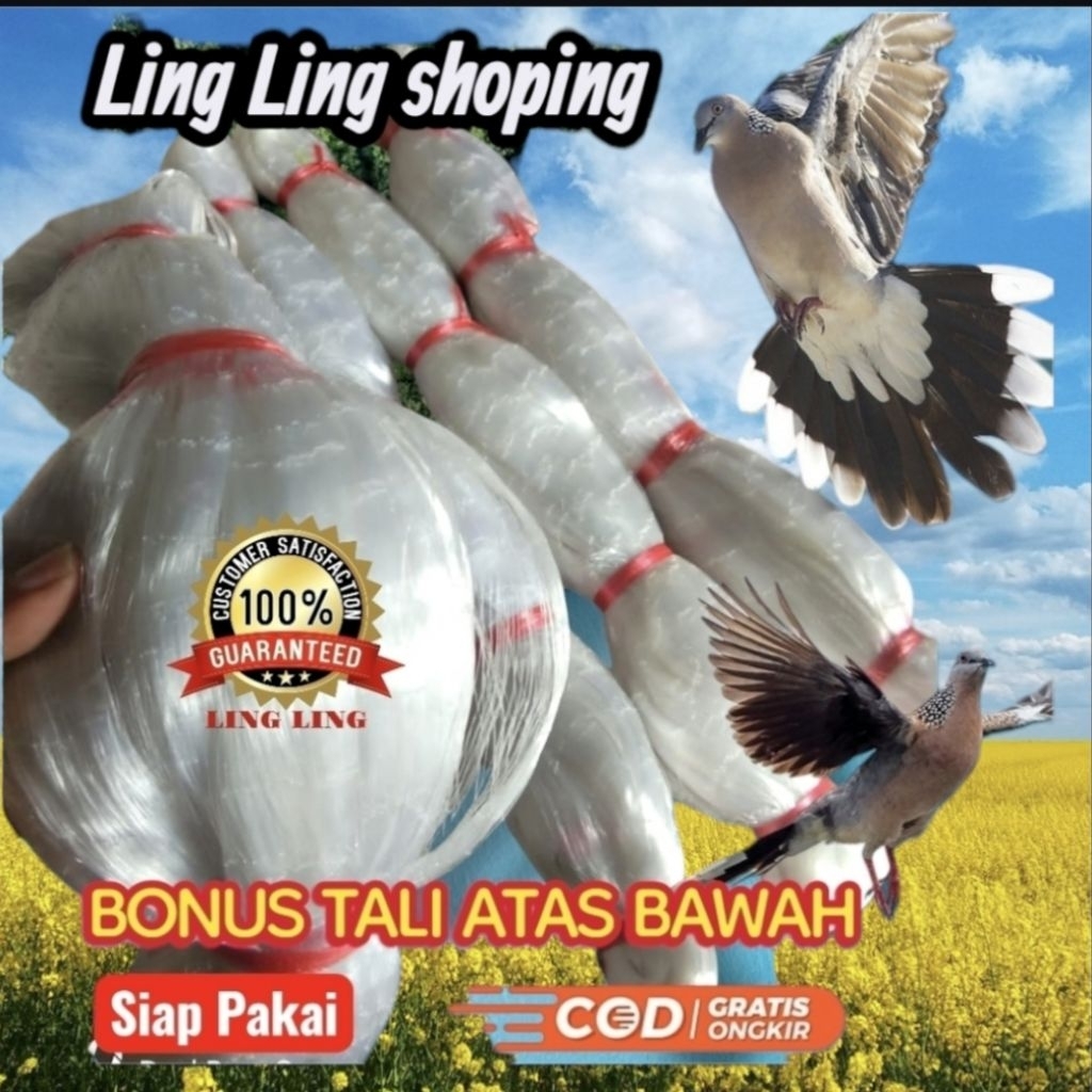 JARING BURUNG PERKUTUT PANJANG 50 M X TINGGI 2 M UKUR 2 INC