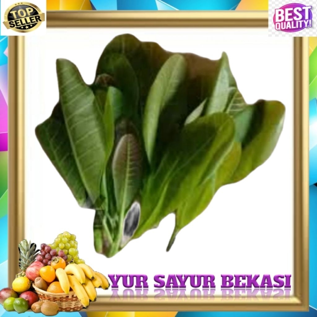 Daun Mede/Daun Jambu Mede 2 ikat.