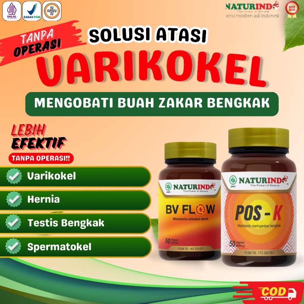 Obat Herbal Varikokel Orchitis Testis Bengkak Spermatokel  POS K BV FLOW Naturindo BPOM