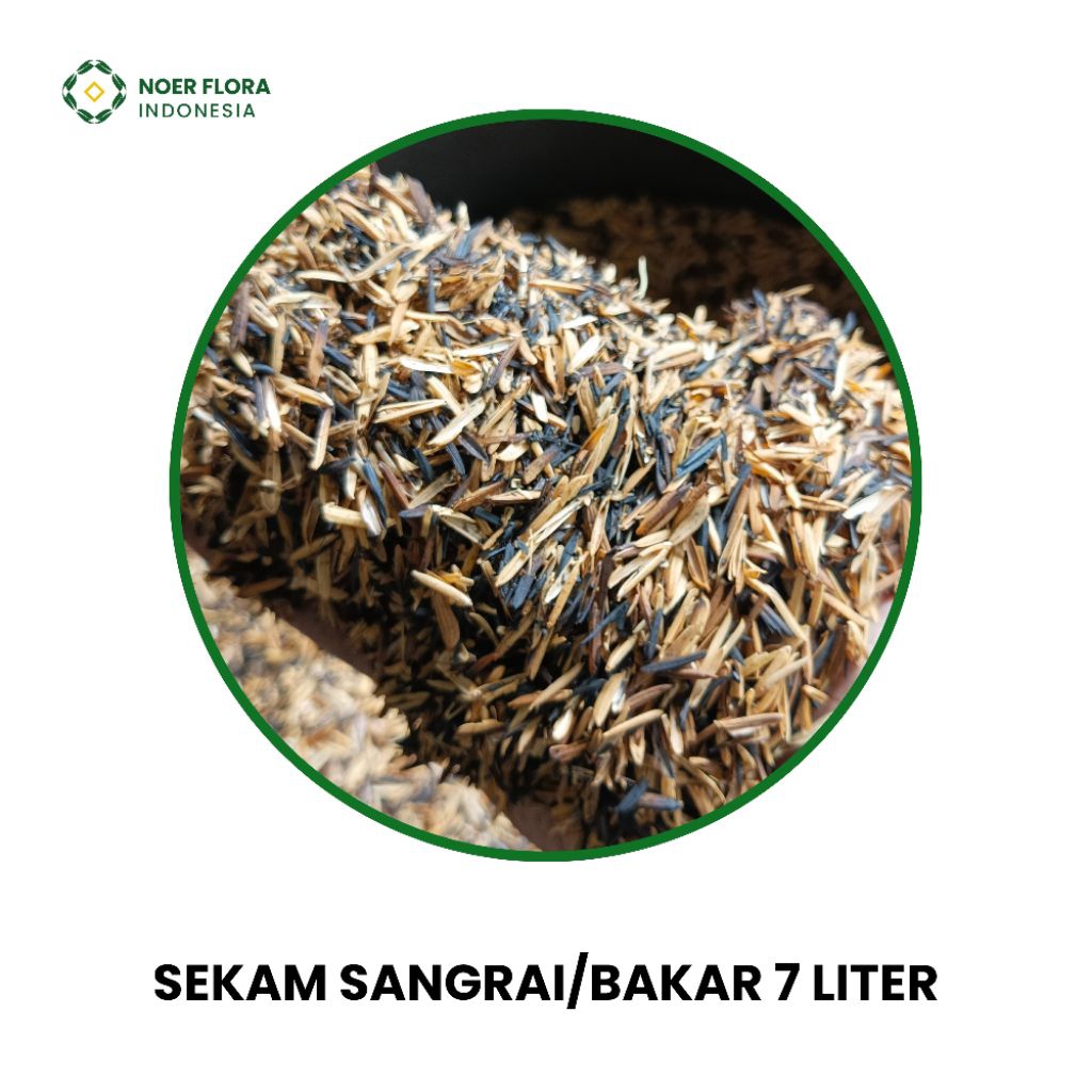 Sekam Sangrai/Sekam Bakar 50% Steril 7 Liter