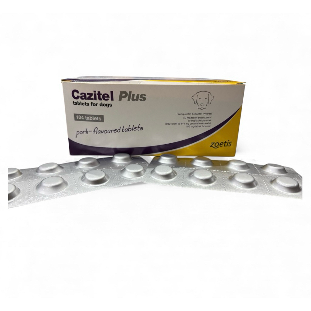 CAZITEL PLUS