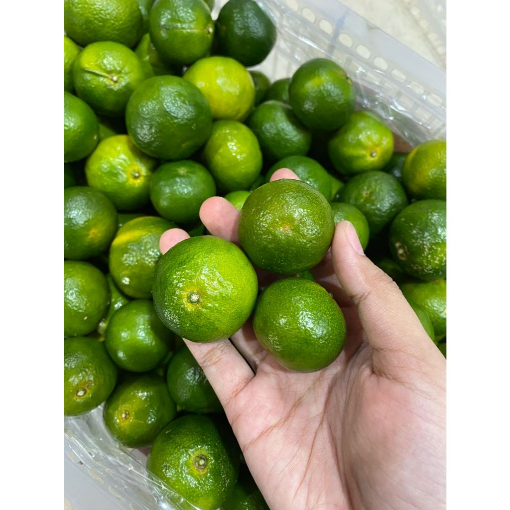 SANTANG HIJAU MADU ENAK DAN SEGAR MANIS