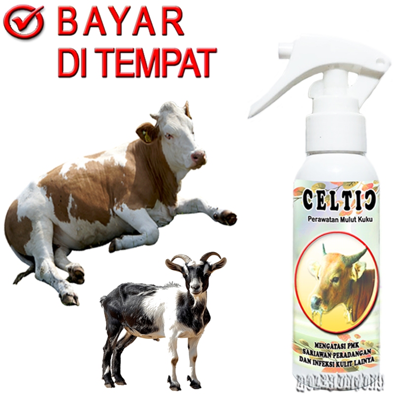 CELTIC Spray Obat PMK Sapi Kambing Kuda Penghilang Sariawan ORF