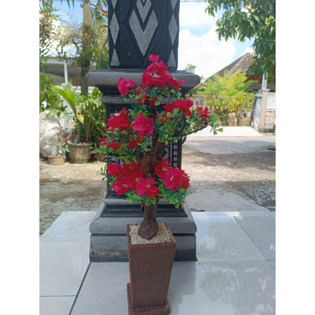 Bunga Sudut Semanggi Hias / Dekorasi Rumah / Bunga Hias Sudut Rumah / Hiasan Rumah / Design Interior