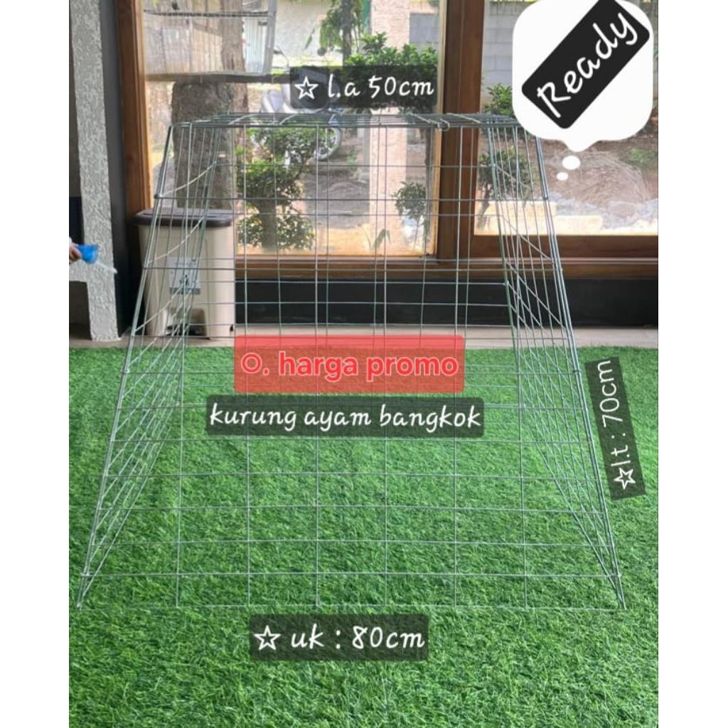 KURUNG JEMURAN AYAM BANGKOK PIRAMIDA