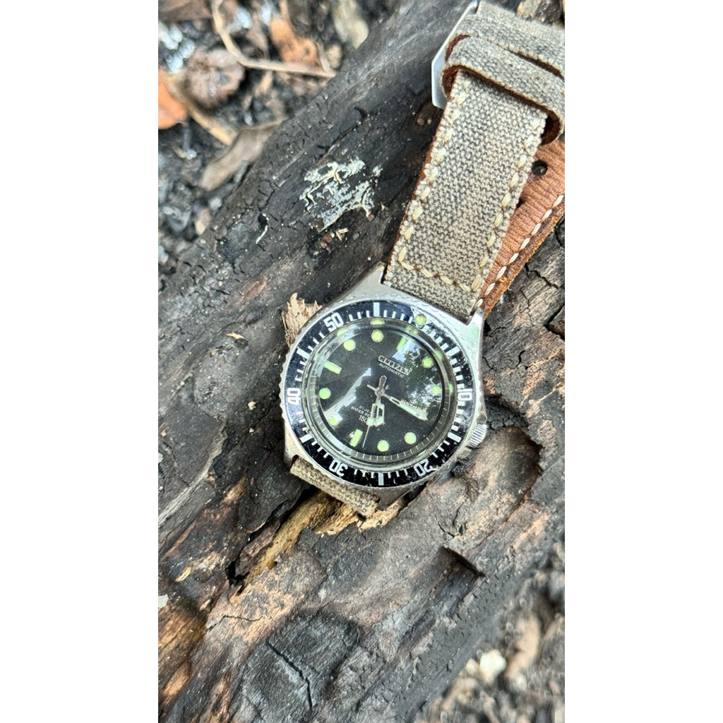 Citizen diver 51-2273