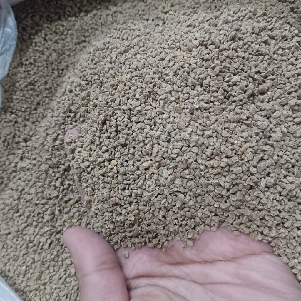 SP22 SINTA- PAKAN PUYUH PETELUR 500GR - VOER PUYUH PETELUR