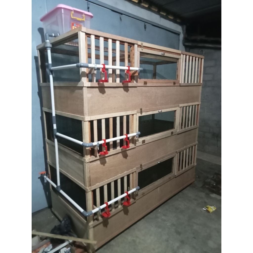 kandang ayam indukan liter box