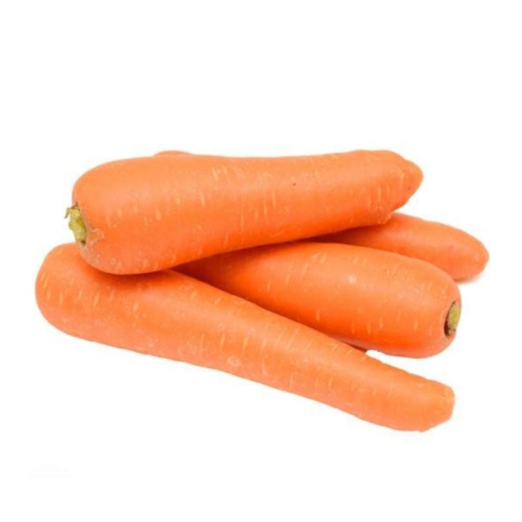 SShd Wortel impor segar