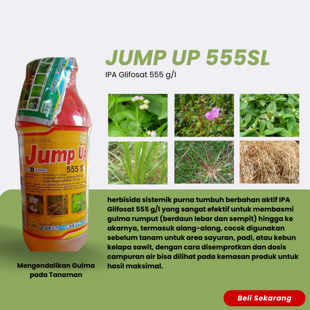 Jump Up 555 SL 1 Liter - Herbisida sistemik