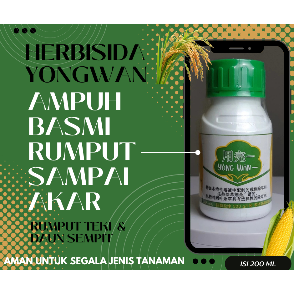 YONGWAN / YONG WAN HERBISIDA RACUN RUMPUT GULMA AMAN PADA TANAMAN PADI KARET SAWIT JAGUNG TEBU DLL
