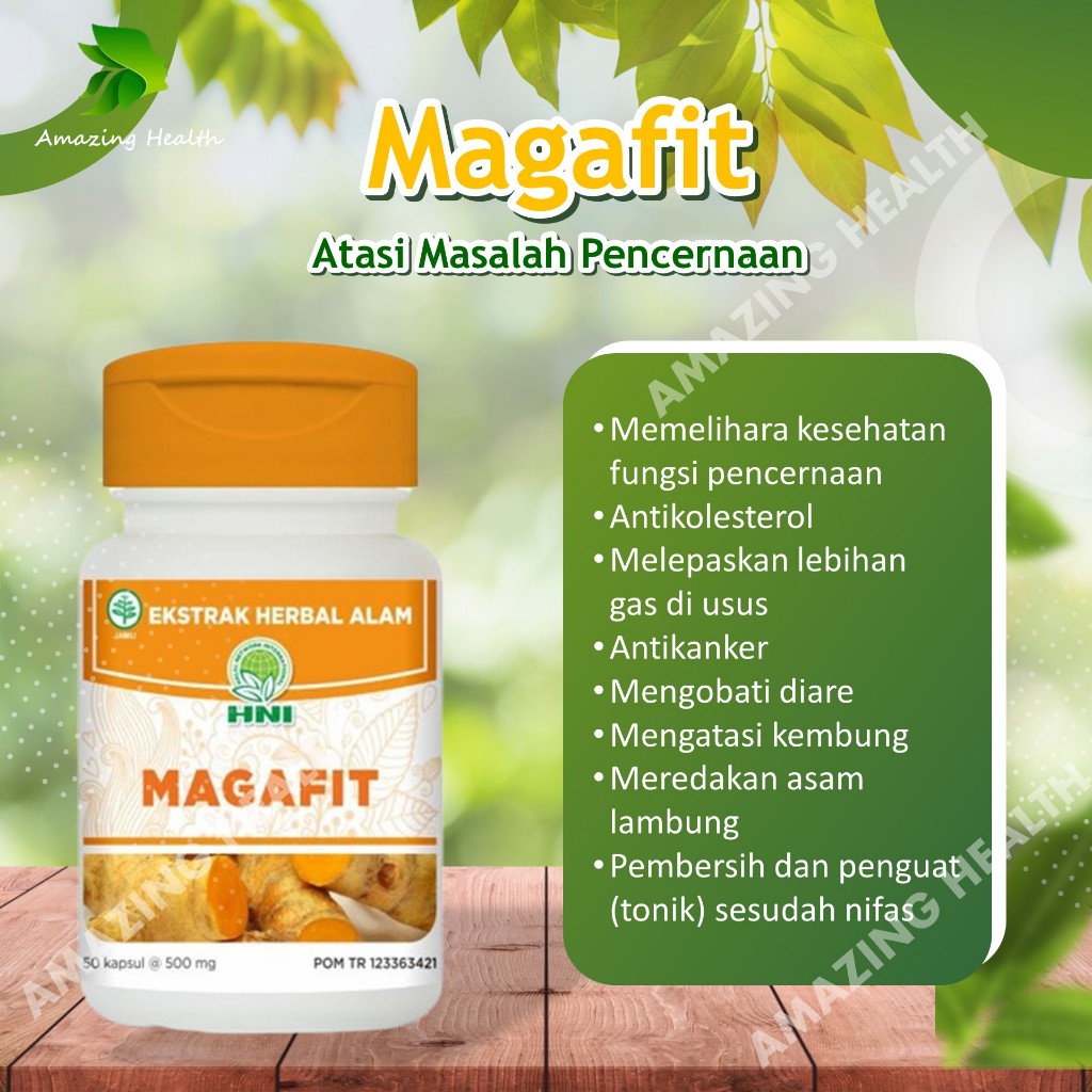 Magafit Obat Maag Kronis Akut Herbal Original - HNI HPAI