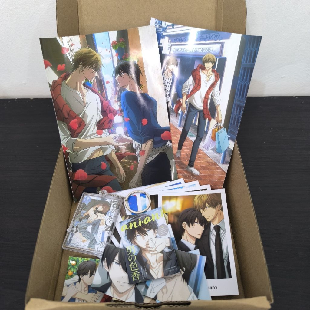 Mini Otaku Kit Anime Dakaretai Otoko