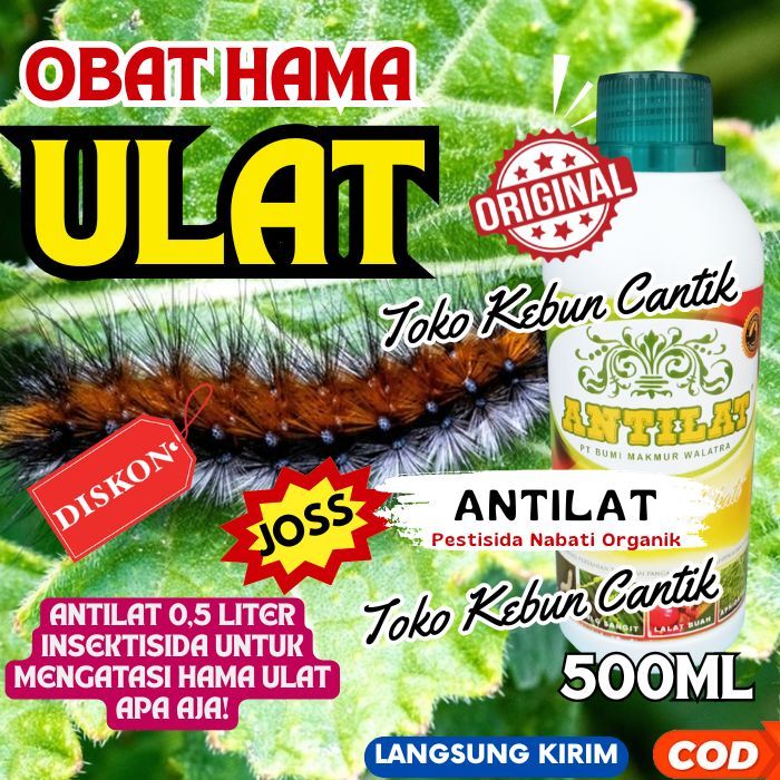 Obat Tanaman Antilat 500ml – Basmi Hama Perusak, Kutu Daun, Lalat Buah, Tanaman Tetap Segar