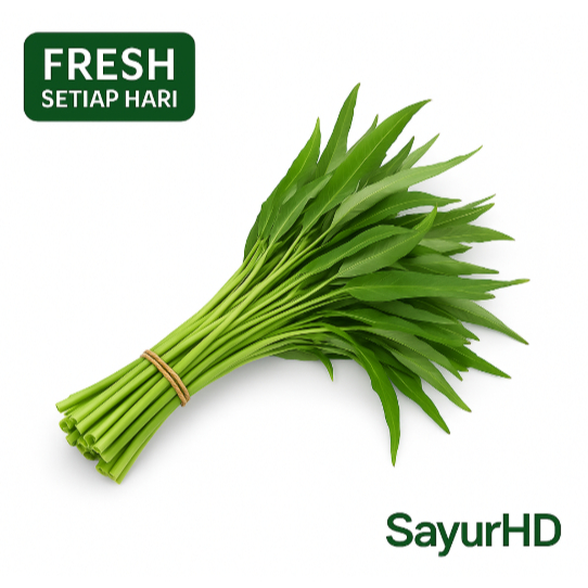 SayurHD Kangkung Segar Fresh 1 Ikat Sayur Harian Siap Masak Pilihan Jakarta Fresh Segar Siap Masak