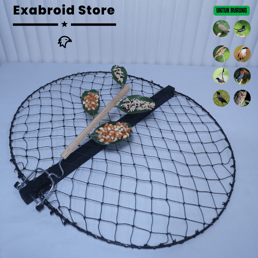 Jebakan burung otomatis murai kacer dan sebagainya