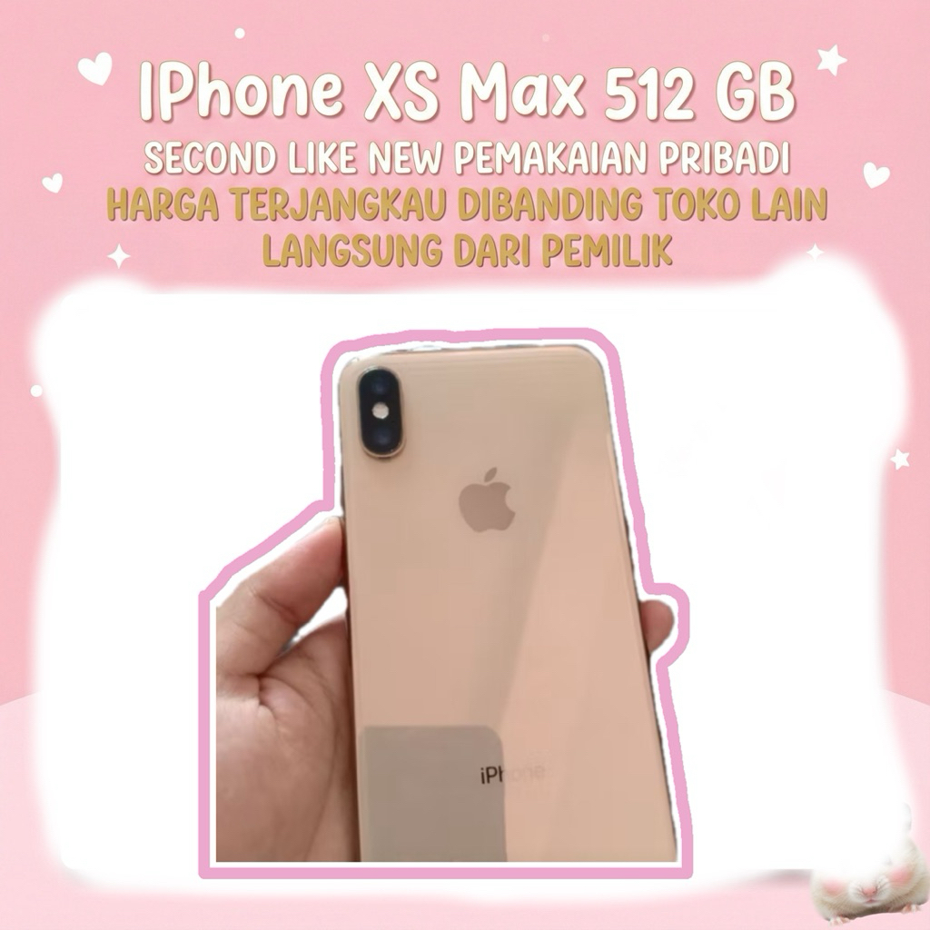 IPhone XS MAX 512 GB (PEMAKAIAN PRIBADI)