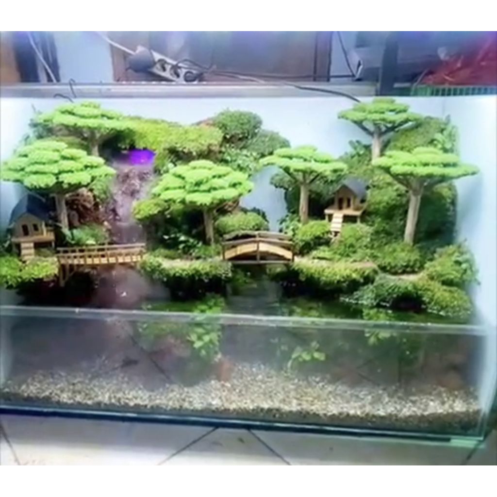 paludarium fullset size 60x30x40cm