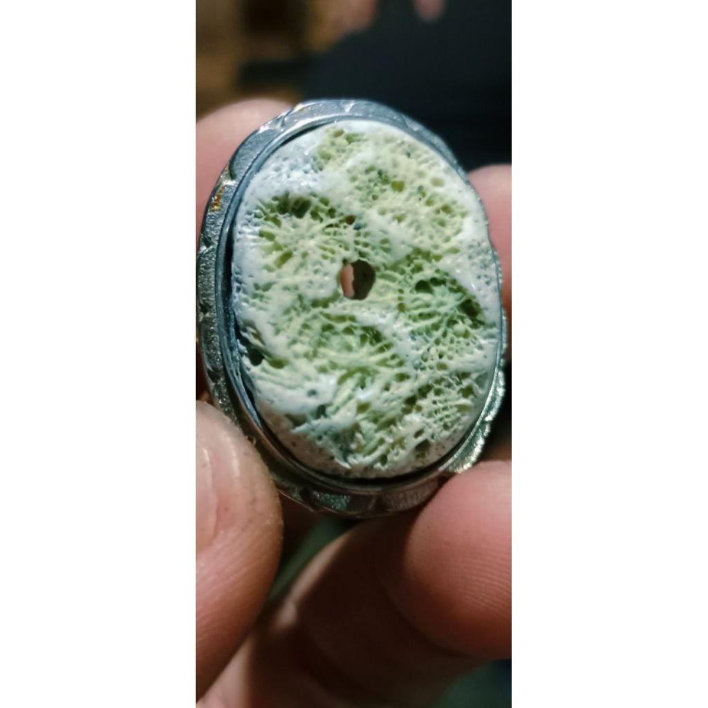 Combong teratai natural unik dan sakral