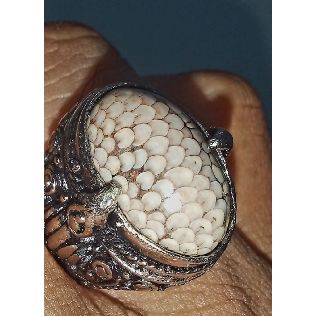 Sisik Ular Jipen Madura