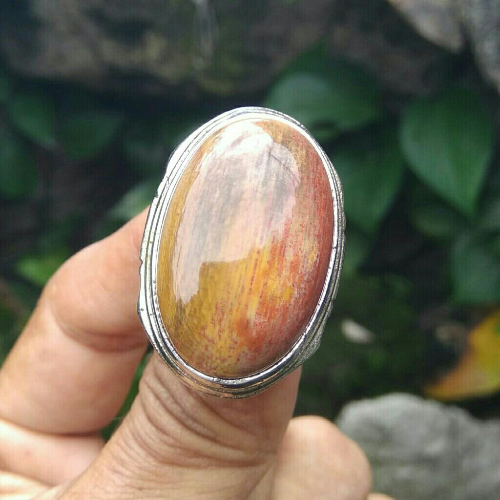Cincin batu akik fosil kayu asli Natural Petrified Fossilized Wood Fosil