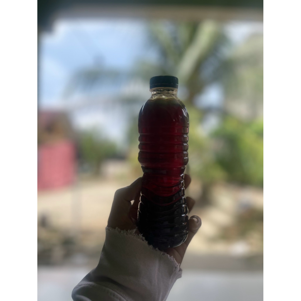 madu hutan akasia asli