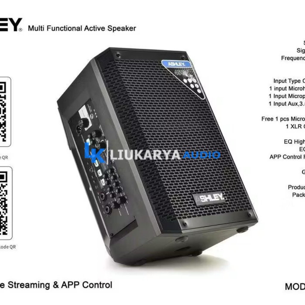 Speaker Portable Ashley ST810