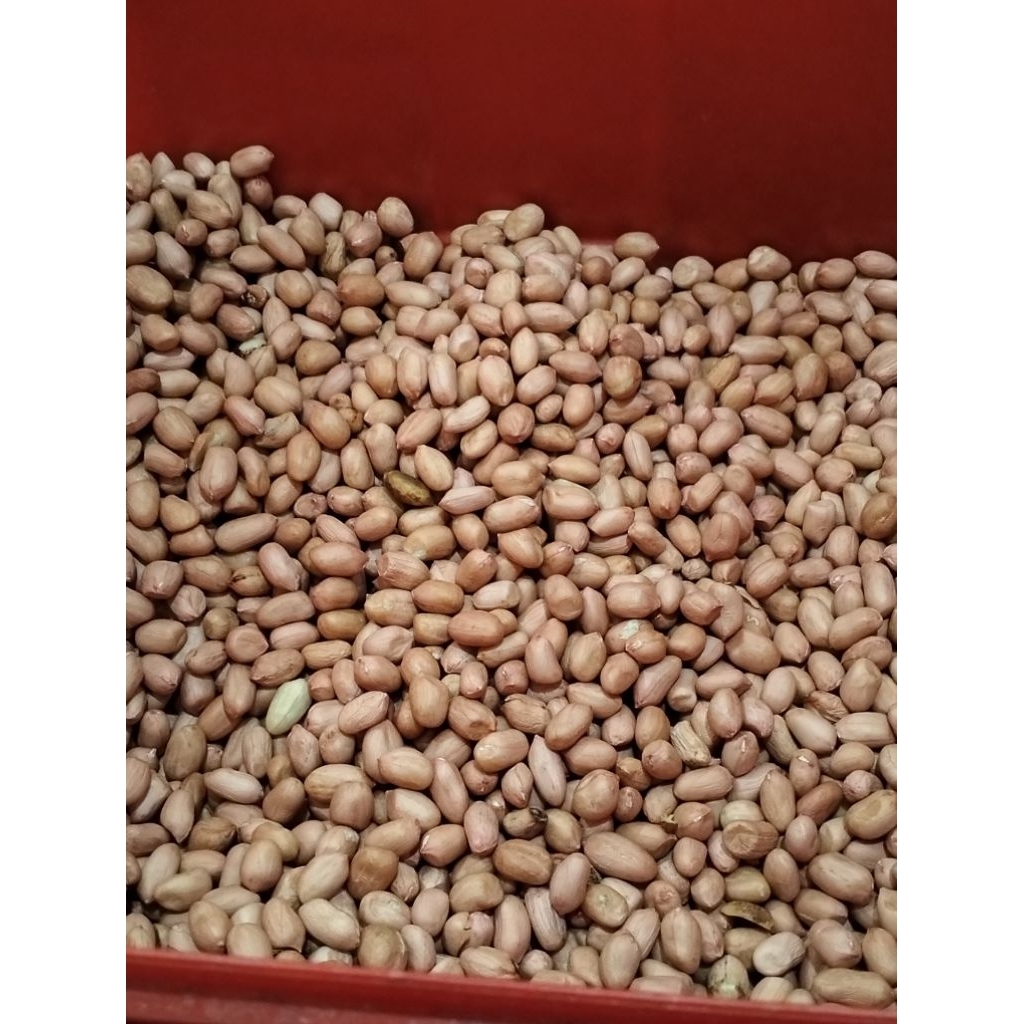Kacang tanah super 1kg