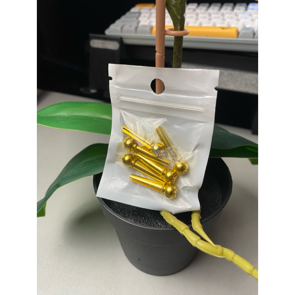 Pin bridge logam gitar akustik warna gold